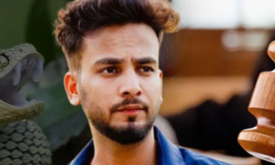 Elvish Yadav Admits To Arranging Snake Venom For Rave Parties; What Happens To His Future Projects?