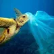 turtle and plastic in the ocean - the reelstars