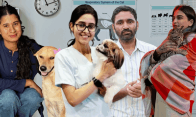 Vet Content Creators of India You Should Follow This World Veterinary Day