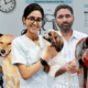 Vet Content Creators of India You Should Follow This World Veterinary Day