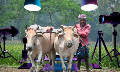 Farmers Are Learning More From YouTube Than Anywhere Else. Here’s Why