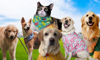 Your Algorithm Needs This: 5 Indian Pet Creators Spreading Pure Joy