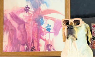Dali, a rescued Labrador from Hyderabad, holding a brush in her mouth while creating abstract watercolour paintings on canvas.