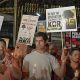 Save KBR: How Creators Are Driving Environmental Action