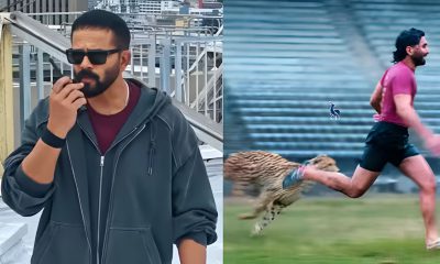 Khatron Ke Khiladi 15 Premiere Date Announced: As Orry's Cheetah Run Goes Viral