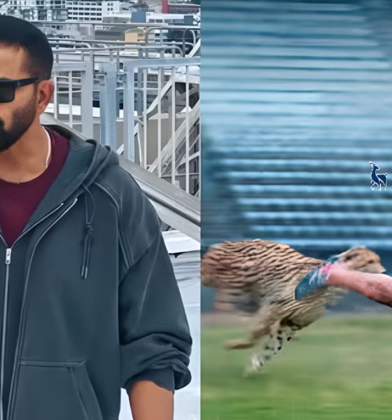 Khatron Ke Khiladi 15 Premiere Date Announced: As Orry's Cheetah Run Goes Viral