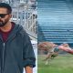 Khatron Ke Khiladi 15 Premiere Date Announced: As Orry's Cheetah Run Goes Viral