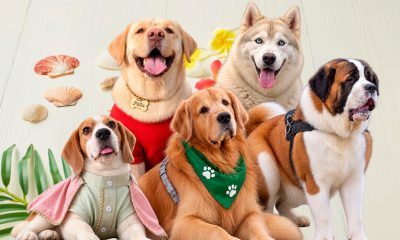 Who are the 5 Indian Dog Influencers Getting Hearts on Social Media?