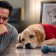 Flying Beast Gaurav Taneja’s Pet Mau Reportedly Dies; Social Media Posts Raise Questions About His Final Days
