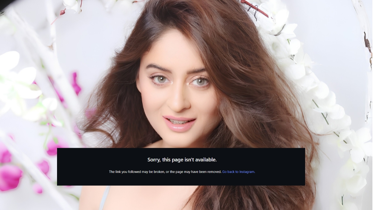 Creator-Actor Mahhi Vij’s Instagram Account Reportedly Disabled, Team Yet To React